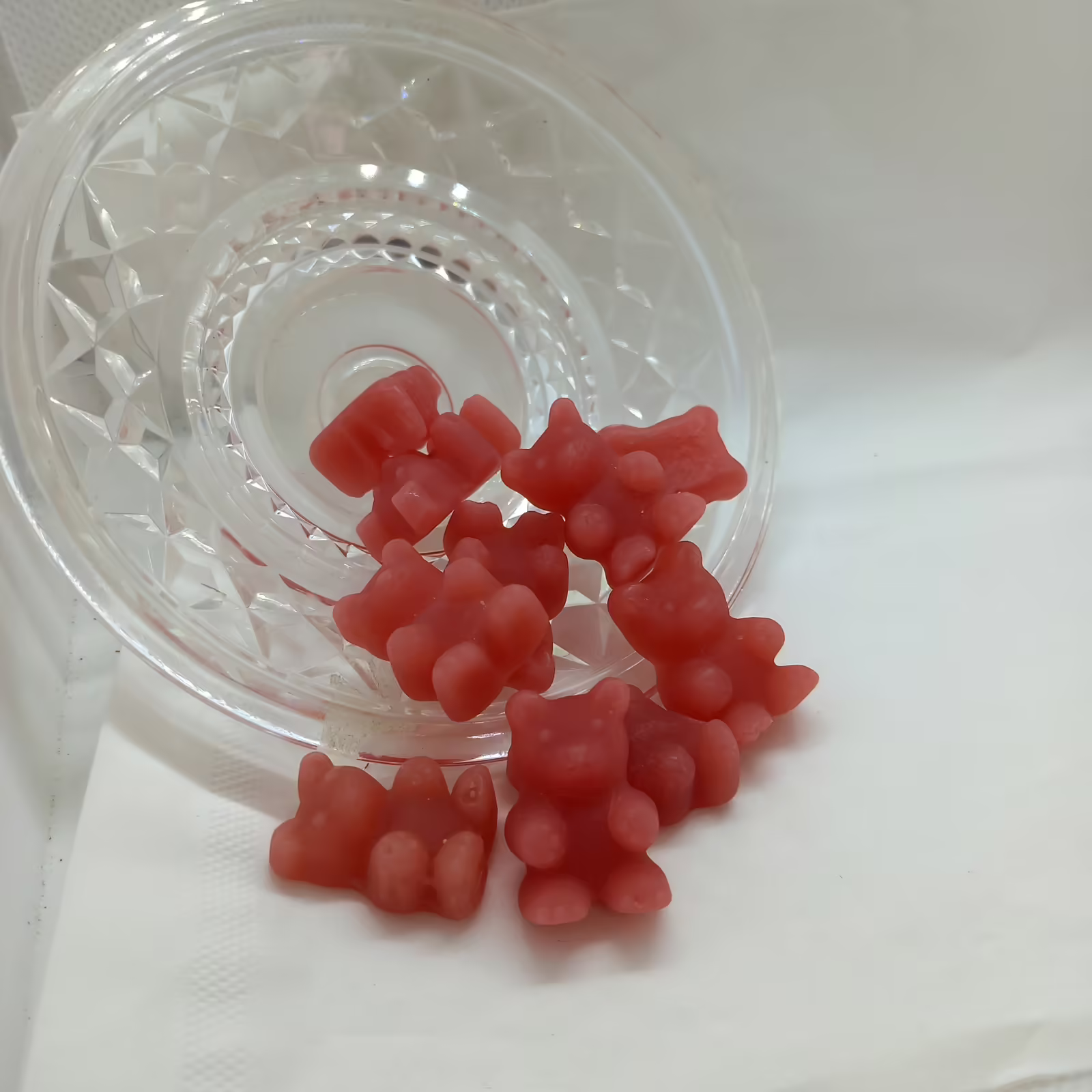 Oursons à infuser – Sureau et rhubarbe