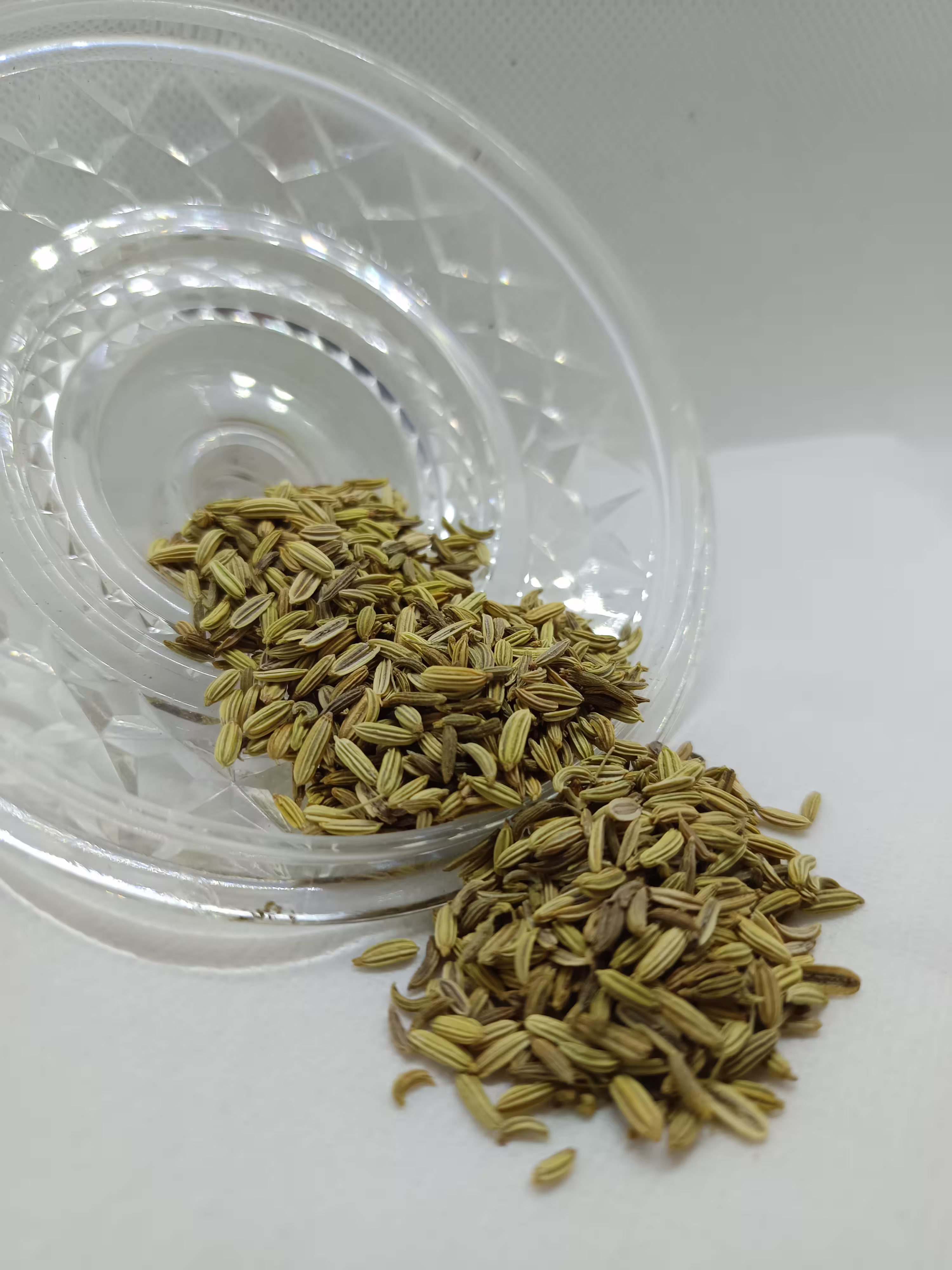 Fenouil