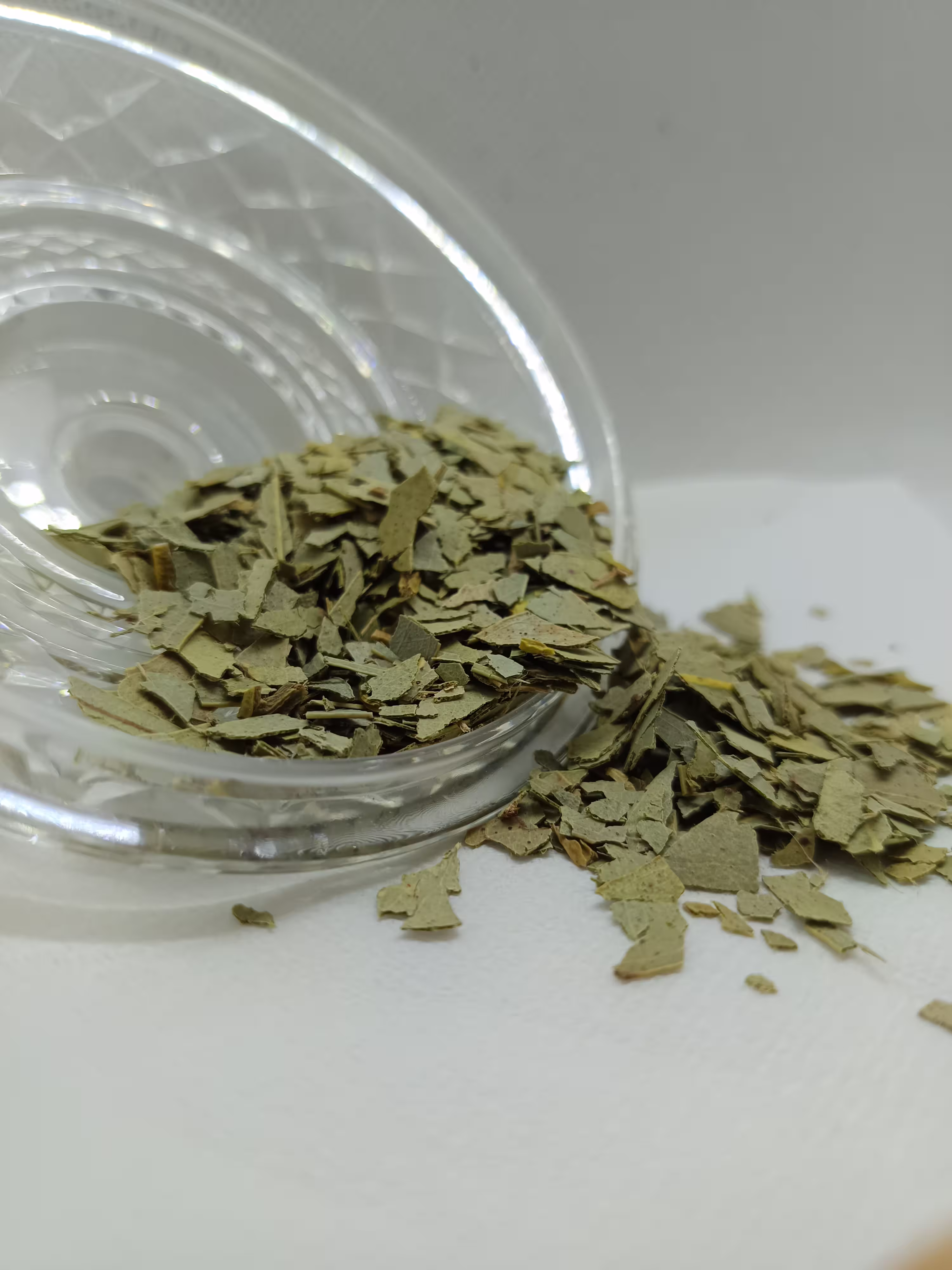 Feuille de Cassis