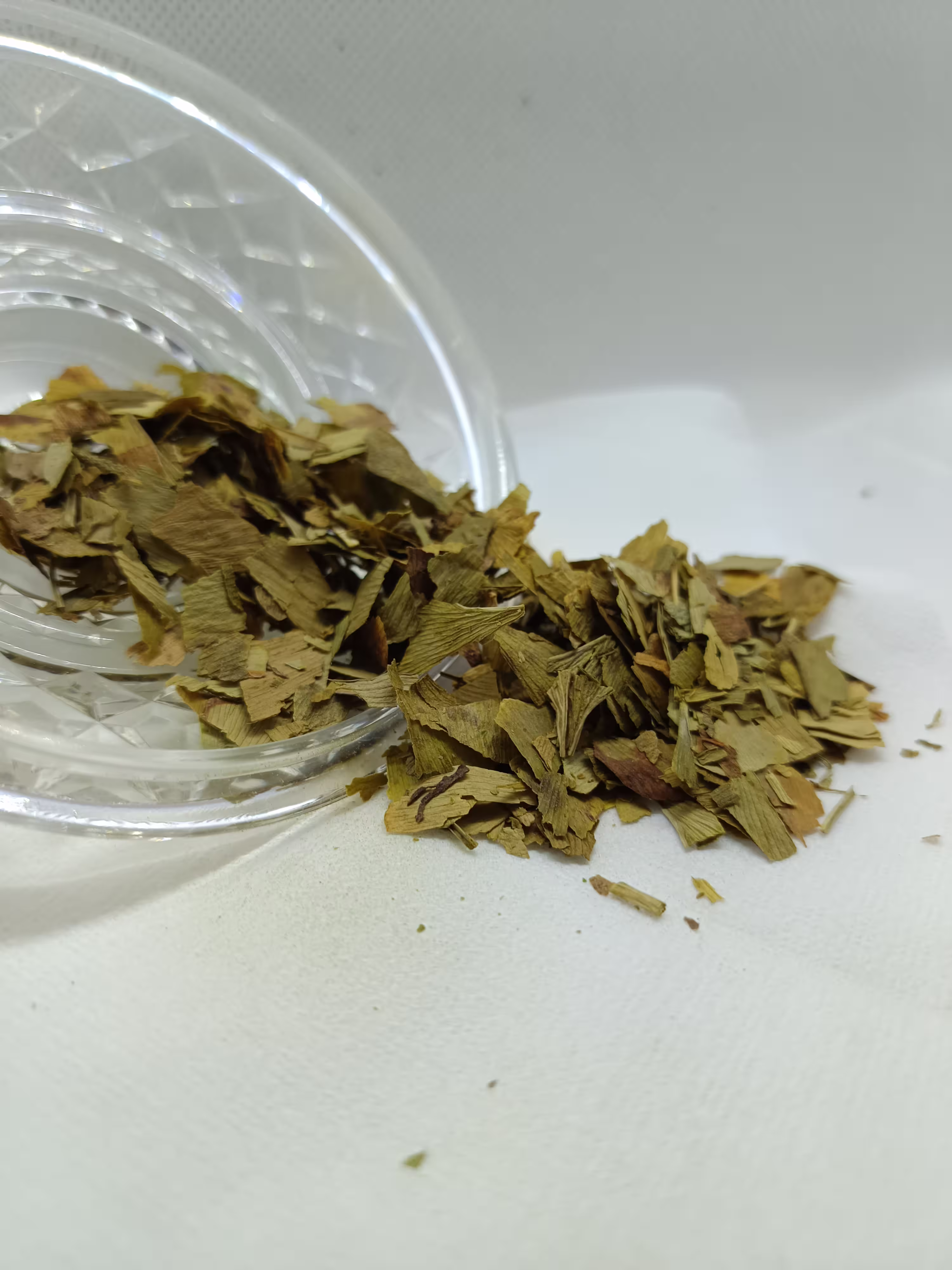 Ginko bilboa