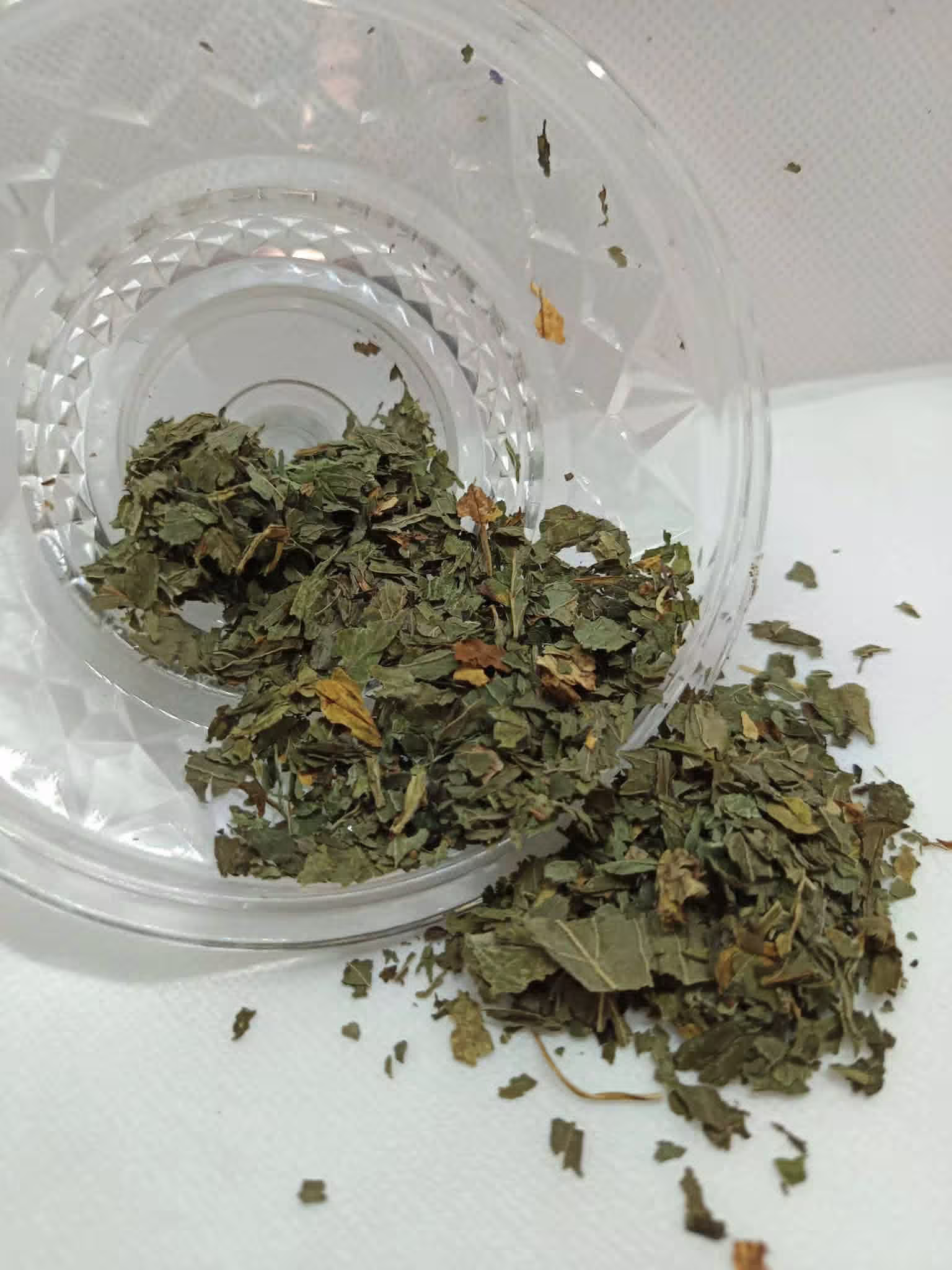 menthe poivrée