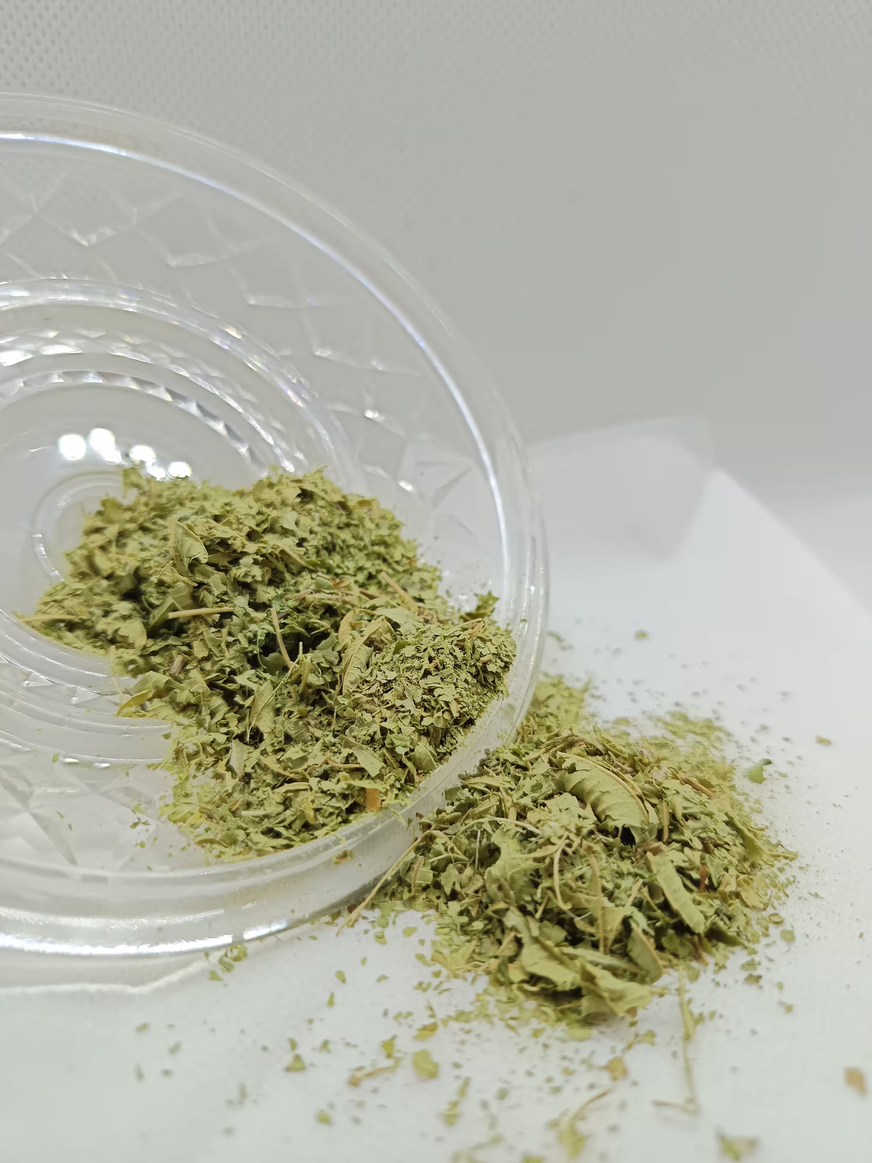verveine